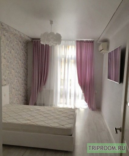 1-комнатная квартира посуточно (вариант № 45399), ул. Гагарина улица, фото № 3